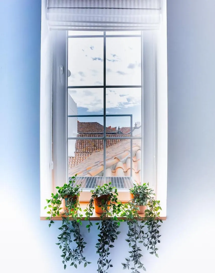 Casa Emblematica Salgado Apartment Santa Cruz de la Palma